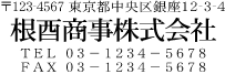 20mm x 60mm  4行