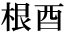 2文字（印面寸法：9.5mm x 19mm/最大文字数：3文字）