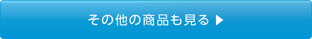 その他の商品も見る