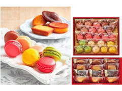 A2049 【交換期間2026/3/15迄】ダロワイヨ マカロン・ドゥミセックセット