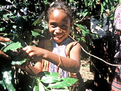 W0930　【ご寄付】【環境・社会貢献】ＰＷＪ国際人道・災害支援基金