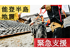 W0938　【ご寄付】【環境・社会貢献】ピースウィンズ 能登半島地震緊急支援